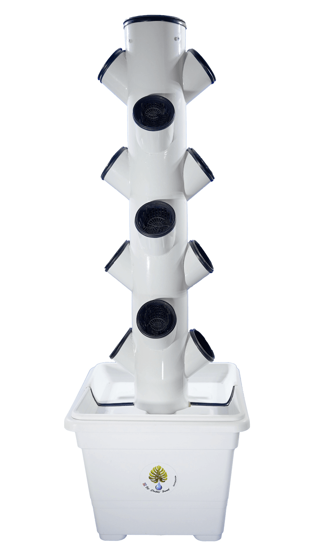 3D