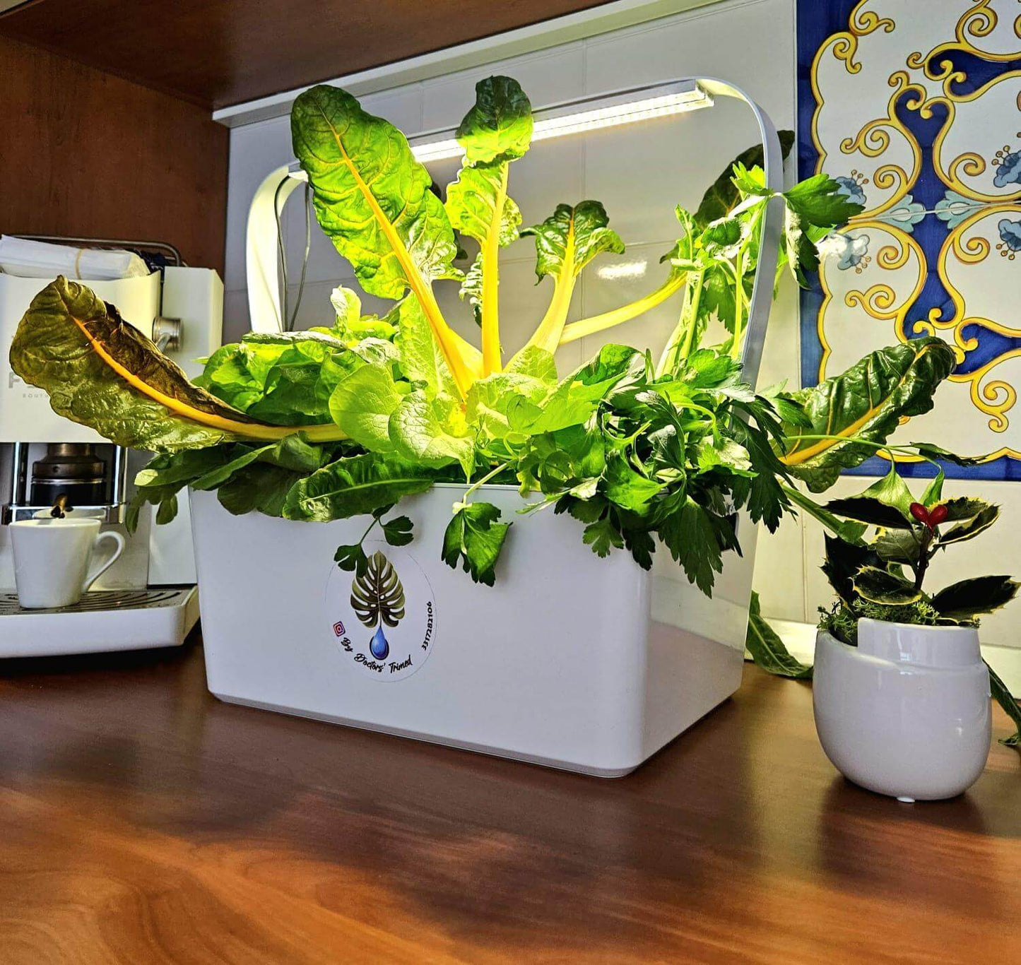 smart garden