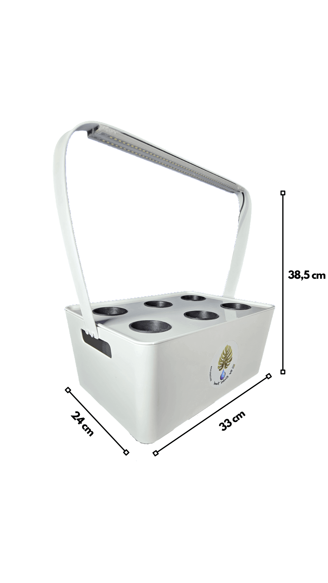 idroponica in cucina e giardino