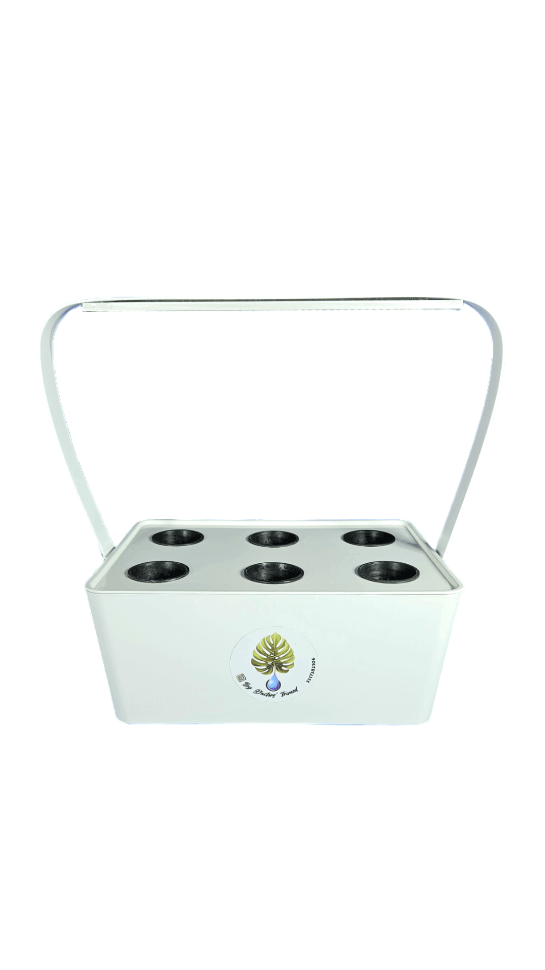 idroponica aeroponica smart garden