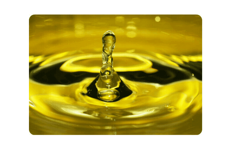 Olio di Neem 1L - Insetticida agricoltura biologica - 100% Naturale - LAB IDROPONICA