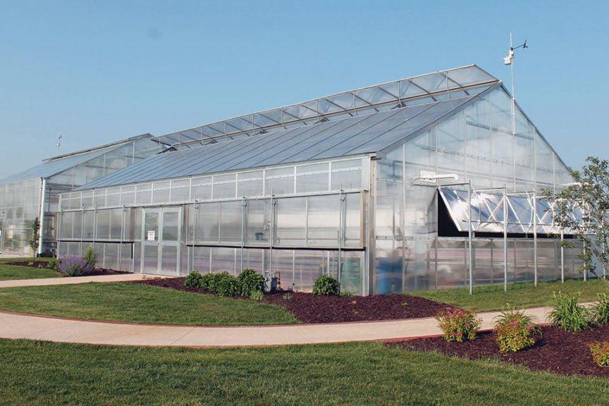 Coltivare in ambiente interno, esterno oppure in greenhouse? - LAB IDROPONICA