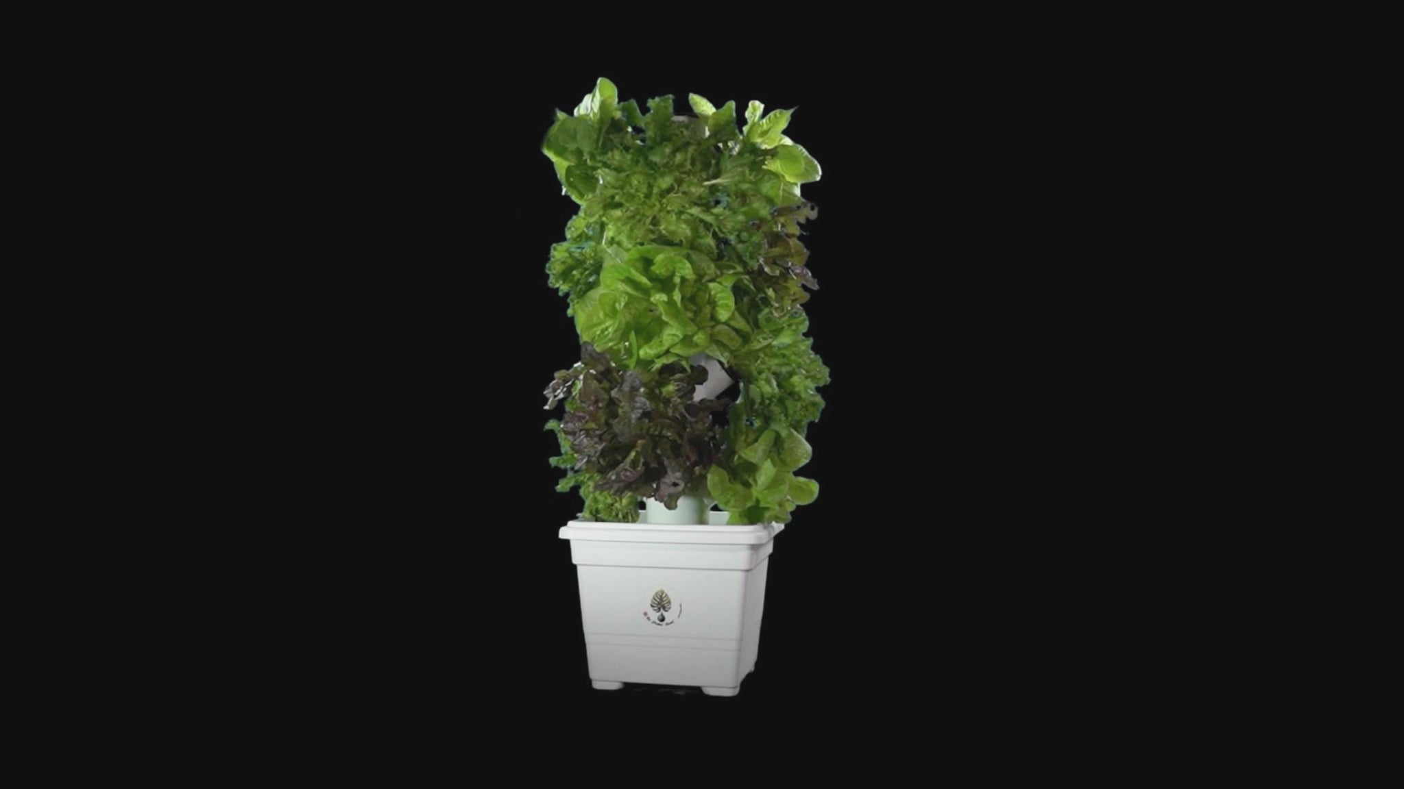 Video agricoltura idroponica